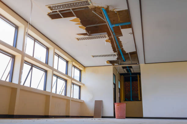 Best Sewage cleanup and water damage restoration  in Vandergrift, PA