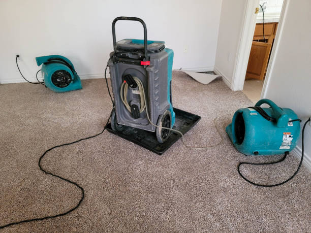 Best Water damage contractors near me  in Vandergrift, PA