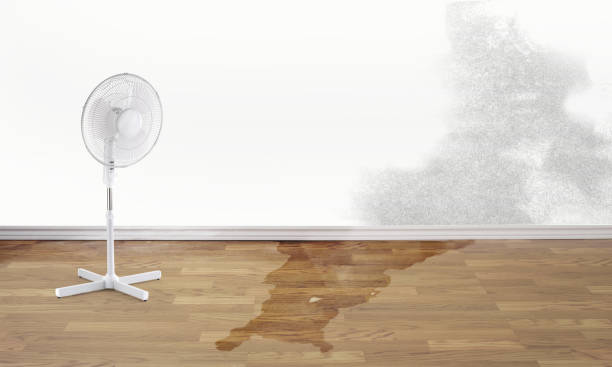 Best Local water damage restoration  in Vandergrift, PA