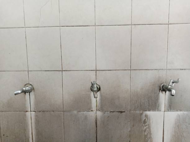 Best Commercial water damage restoration  in Vandergrift, PA