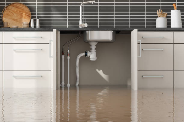 Best Water damage restoration insurance claims  in Vandergrift, PA