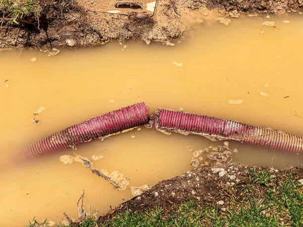Best Water damage restoration services  in Vandergrift, PA