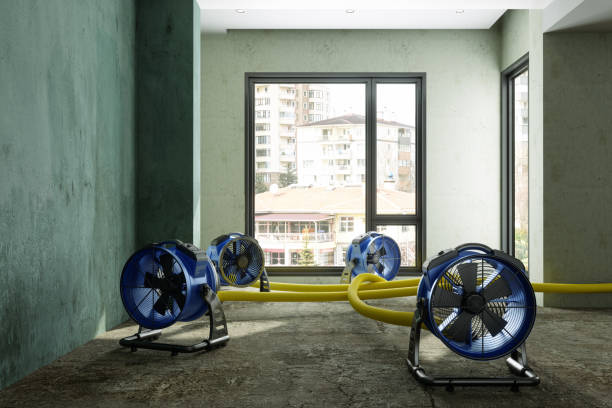 Best Water damage restoration company  in Vandergrift, PA